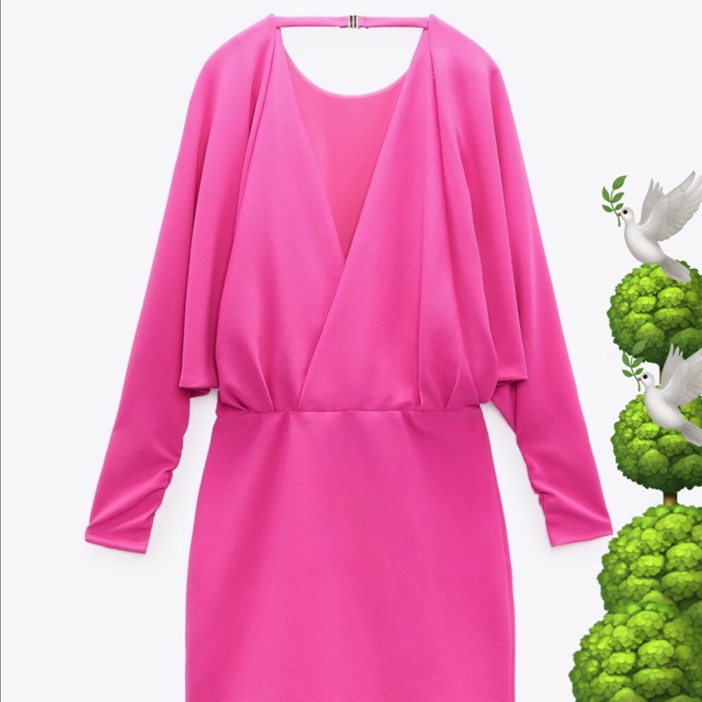 🌳🕊ZARA dress